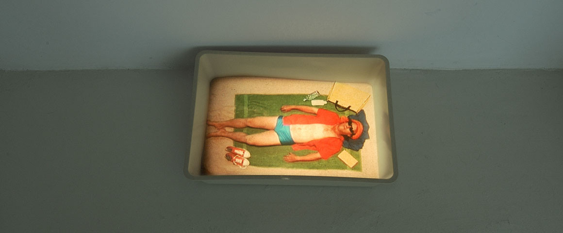 Sonnenbad im Katzenklo