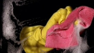 Cleaner Clip